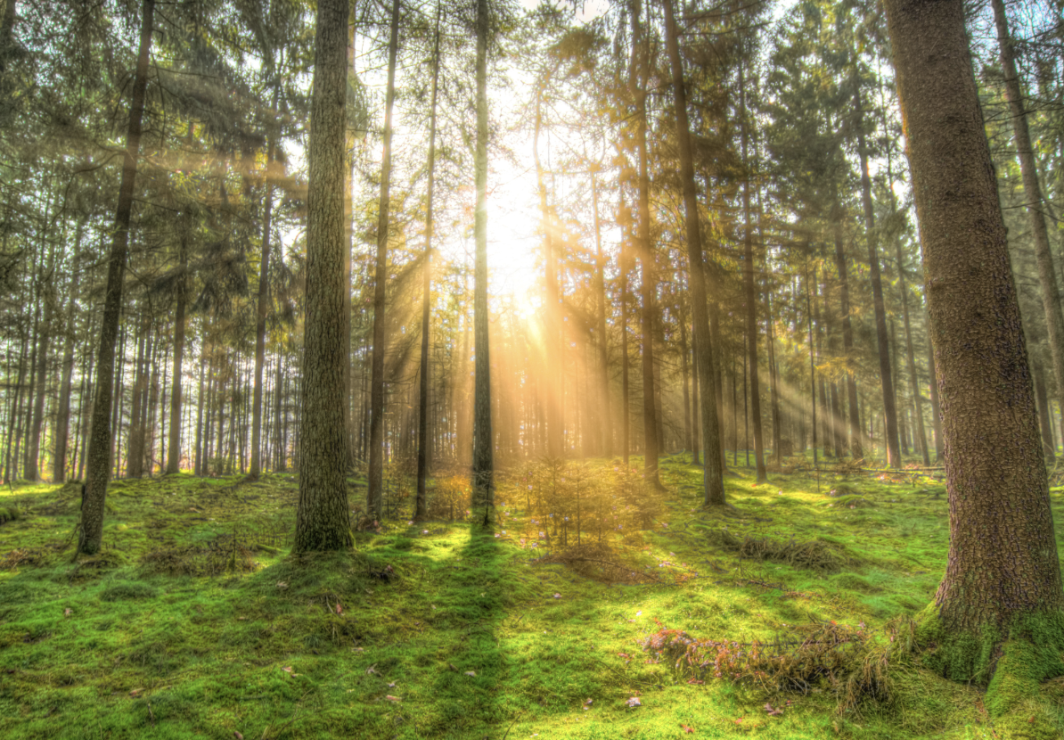 What Is a Solar EPC?